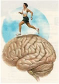 mind speeded up
