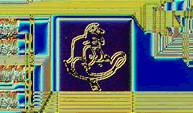 Daffy on computer chip