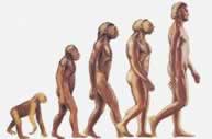 evolution