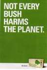 Cottons_tampons_slips_bush_on_environmen