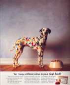Dogfood advertisement